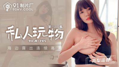 [91制片厂]91CM-245 私人玩物 第二集-高梨遥香