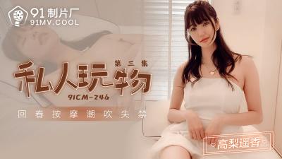 [91制片厂]91CM-246 私人玩物 第三集-高梨遥香海报剧照